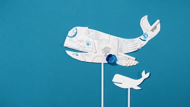 What Is a Crypto Whale?