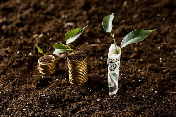 What Is Yield Farming?