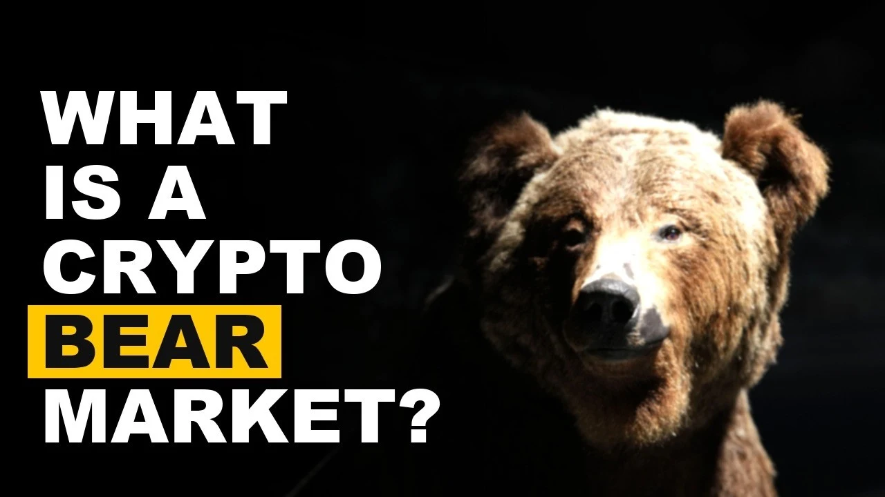 What Is a Bear Market in Crypto? Why the Drops Go So Deep