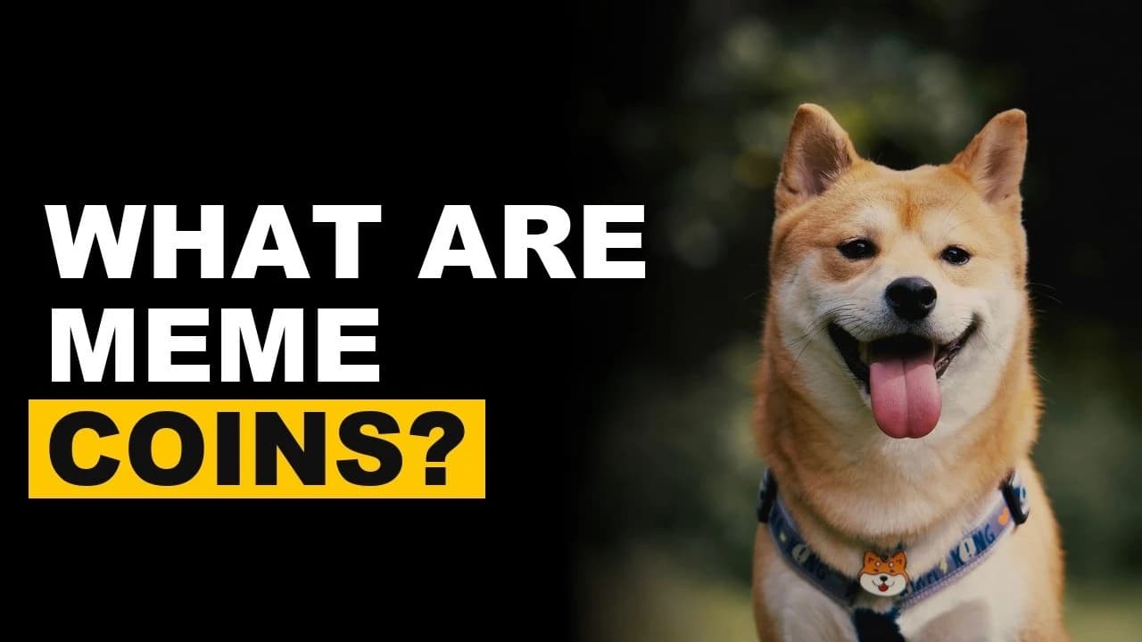 What Are Meme Coins and How Do They Work?