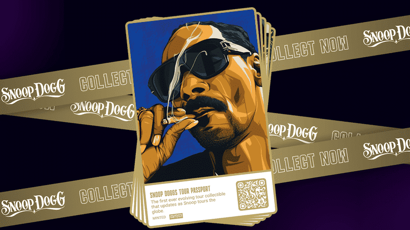 Snoop Dogg NFT Collection Example